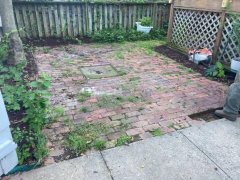 Uneven brick patio with weeds and moss, bordered by garden beds and wooden fencing, in a backyard setting.