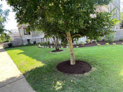 Holy Redeemer College Summer Clean-Up (After)