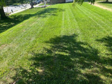 Holy Redeemer College Summer Clean-Up (After)