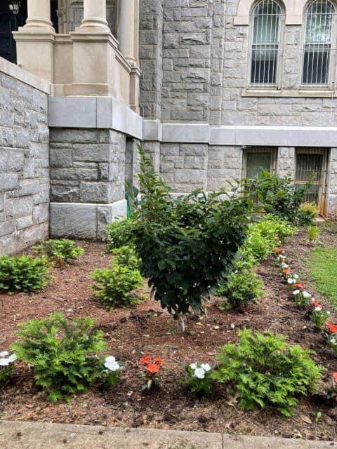 Holy Redeemer College Summer Clean-Up (Before)