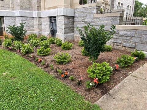 Holy Redeemer College Summer Clean-Up (Before)