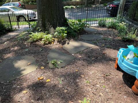 Mulch garden area with stepping stones, plants, and a large tree in a residential yard.