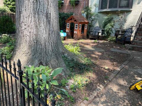 Large tree trunk with landscaped garden and children's playhouse in backyard.