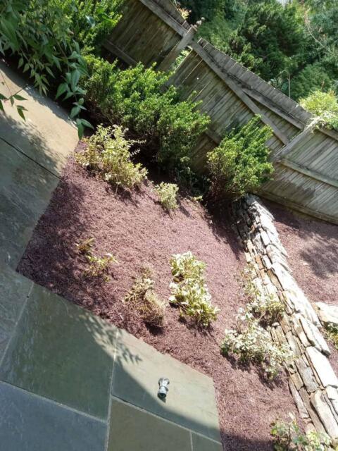 Vibrant garden bed with new shrubs and a stone border, lush greenery in the background.