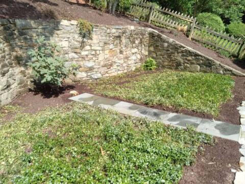 Lush, well-manicured lawn with stone pathway and retaining wall in a landscaped backyard.