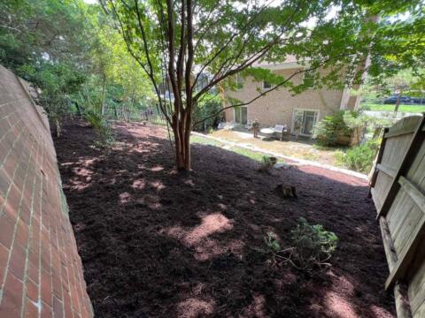 Lush backyard landscape with tree, fresh mulch, and brick wall, designed for curb appeal by Tenleytown Lawn & Landscape.