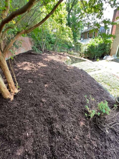 Freshly prepared garden soil in a shaded backyard with trees and a neighboring house.