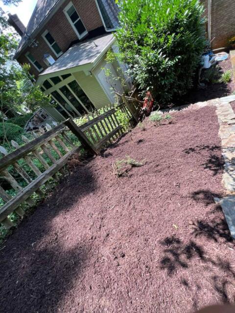 Freshly mulched garden bed with shrubbery and a small fence at Tenleytown Lawn & Landscape.