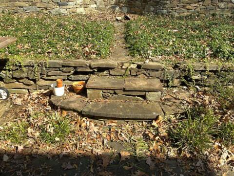 Natural stone garden steps with surrounding plants and fallen leaves.