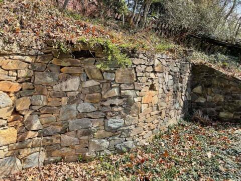 Uneven stone retaining wall with plants and fallen leaves, landscape design by Tenleytown Lawn & Landscape.