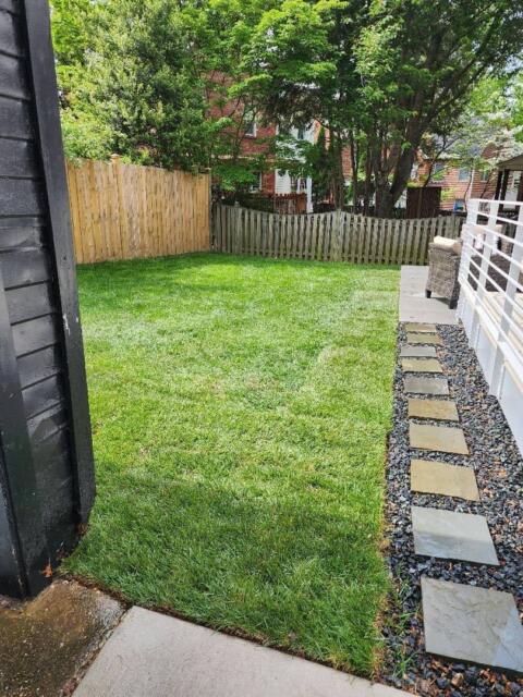Chevy Chase Sod Installation, Walkway Repair, and Spring Cleanup (After)