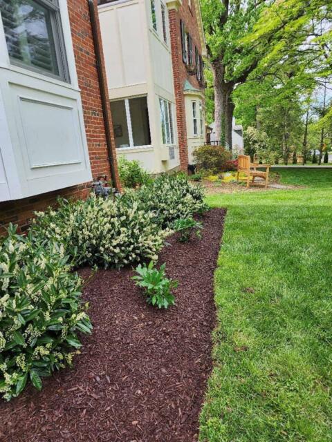 Chevy Chase Sod Installation, Walkway Repair, and Spring Cleanup (After)