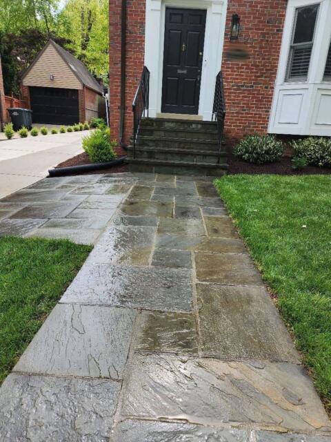 Chevy Chase Sod Installation, Walkway Repair, and Spring Cleanup (After)