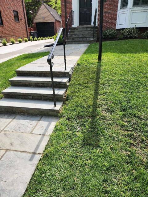 Chevy Chase Sod Installation, Walkway Repair, and Spring Cleanup (After)