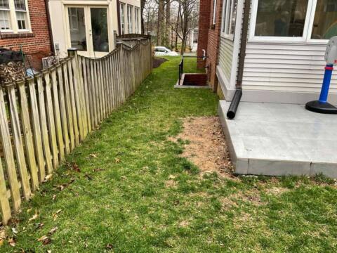 Chevy Chase Sod Installation, Walkway Repair, and Spring Cleanup (Before)