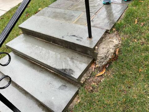 Chevy Chase Sod Installation, Walkway Repair, and Spring Cleanup (Before)