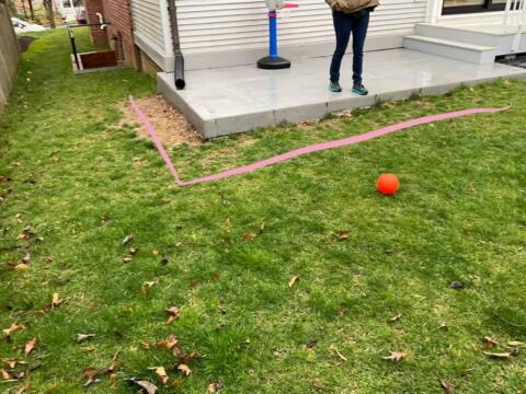 Chevy Chase Sod Installation, Walkway Repair, and Spring Cleanup (Before)