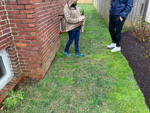 Chevy Chase Sod Installation, Walkway Repair, and Spring Cleanup (Before)