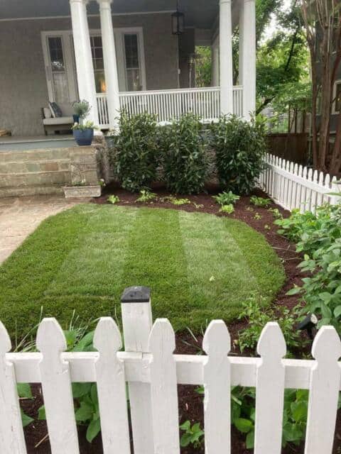 Lush green lawn with freshly cut grass, surrounded by a white picket fence and landscaped garden beds.