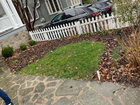 Lush green lawn with surrounding flower beds and white picket fence in a residential yard.