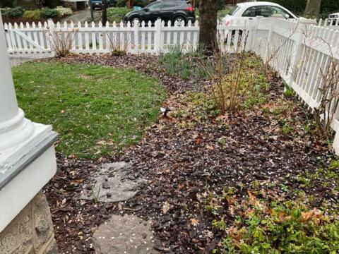 Lush green lawn with garden beds, white picket fence, and surrounding trees at Tenleytown Lawn & Landscape.