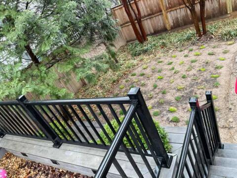 Lush backyard with small circular plants, mature trees, and a black metal staircase railing.