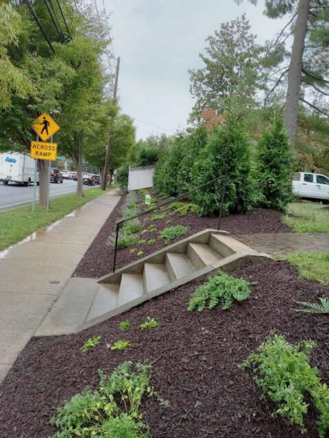 Stone steps with a metal handrail beside a landscaped garden bed, next to a sidewalk and street.