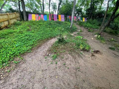 Colorful painted doors and windows art installation in a wooded garden.