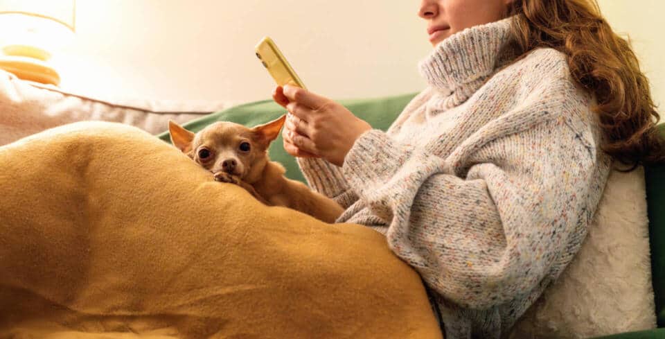 Image of a woman looking at her phone, and her small lap dog together relaxing on sofa at home during a cold winter evening.