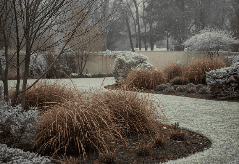 Seasons winter lg