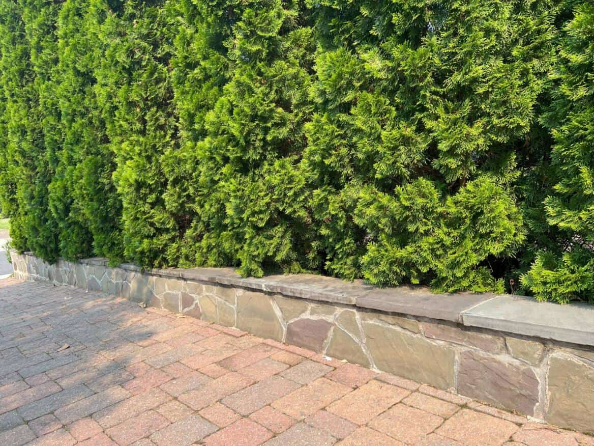 Stone Mortar Retaining Wall