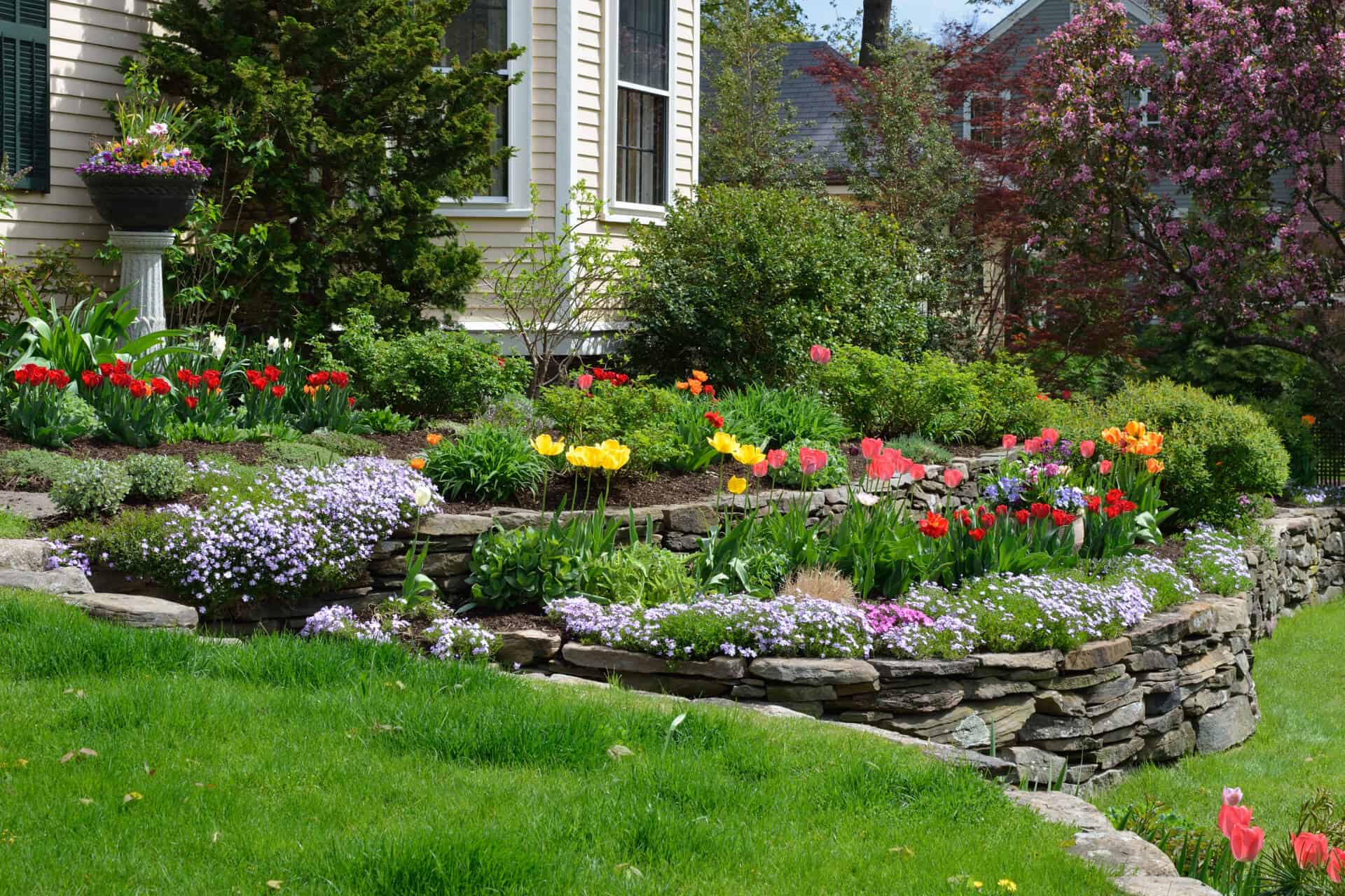 Hilliside landscaping with natural stones, tulips and flox. Clas